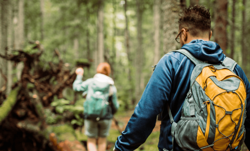 Three Summer Day Trip Adventures