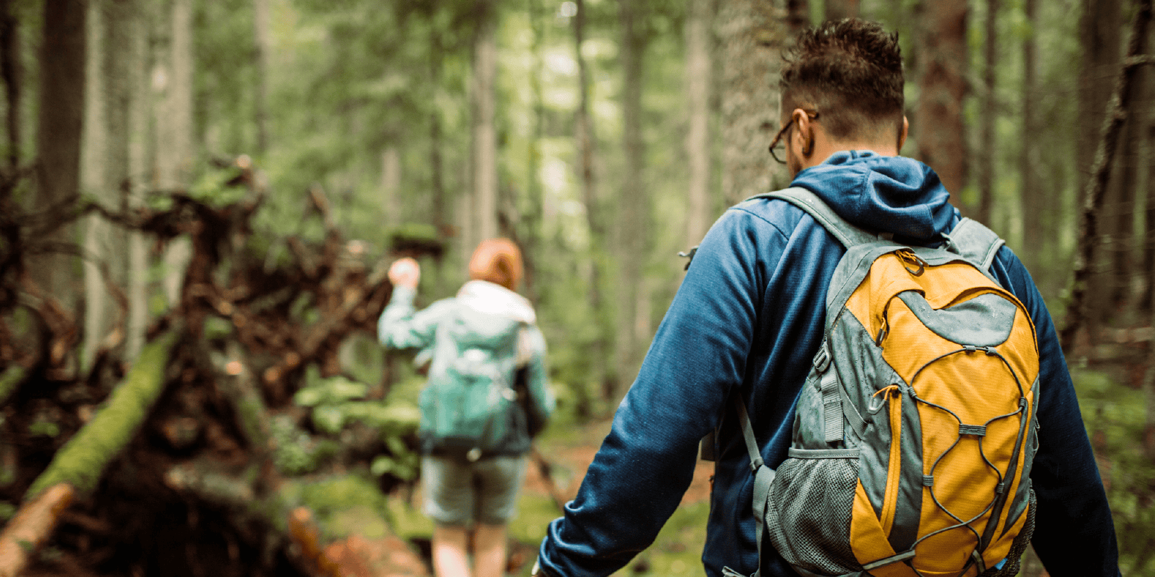 Three Summer Day Trip Adventures